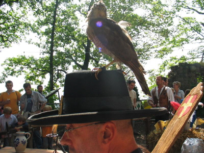 Der hat nen Vogel II